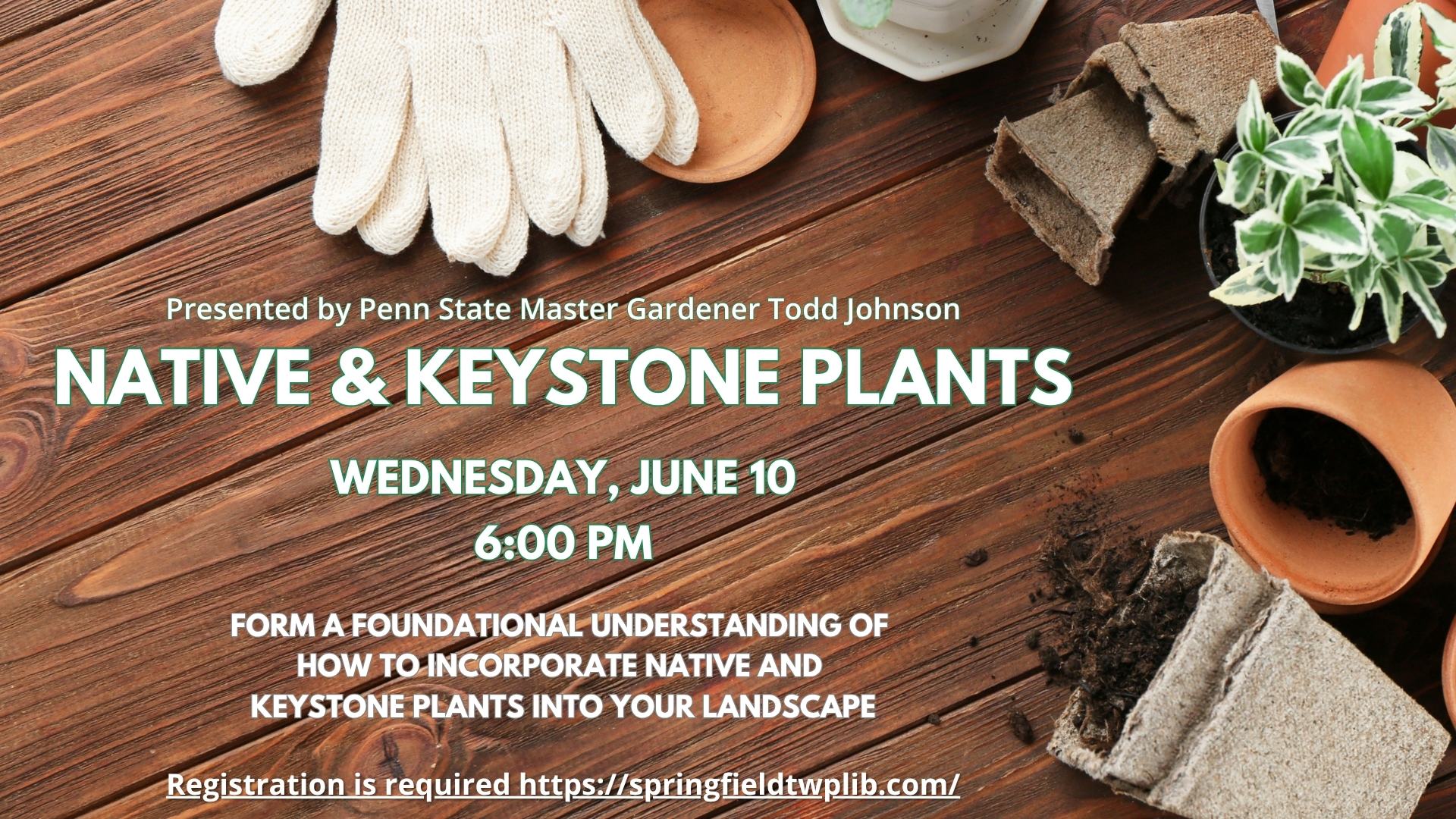 Native & Keystone Plants talk on June 10th at 6pm