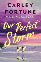 Book Cover: Our Perfect Storm