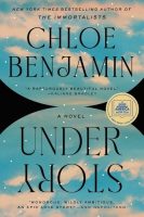 Book Cover: Under Story